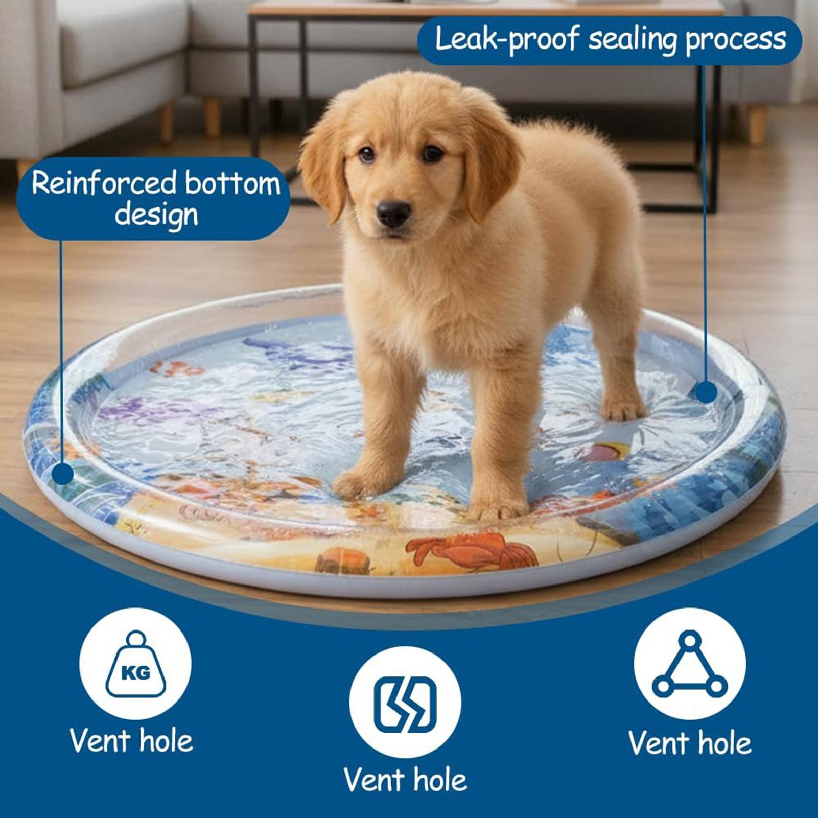 Thicken Interactive Cat Play M - Slip Slide Water Mat recension och pris