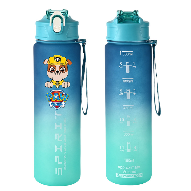 800ml PAW Patrol Sports Water  - Kids Outdoor Kitchen Accessories recension och pris