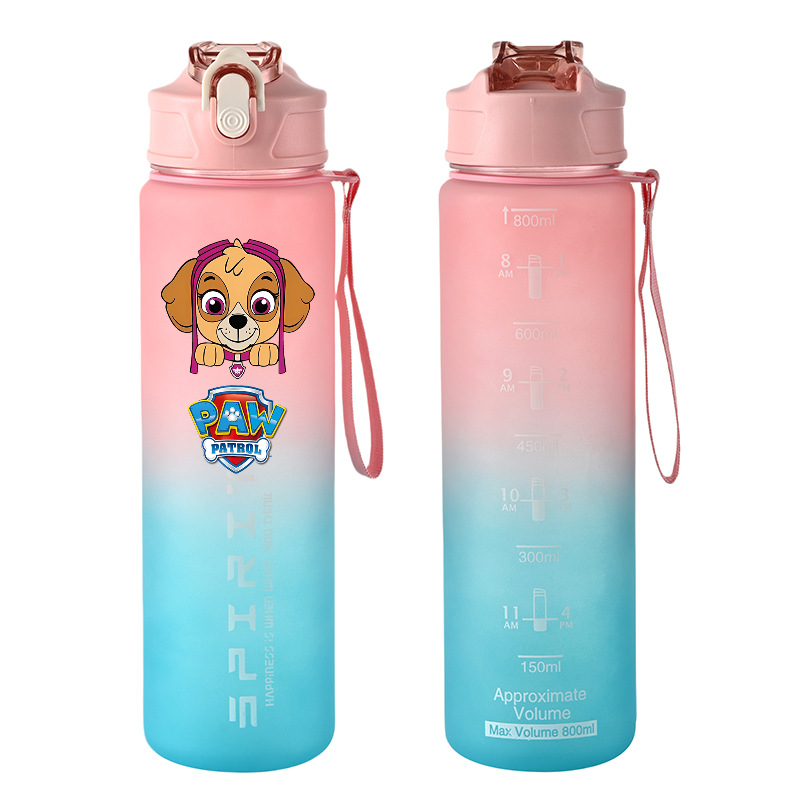800ml PAW Patrol Sports Water  - Kids Outdoor Kitchen Accessories recension och pris