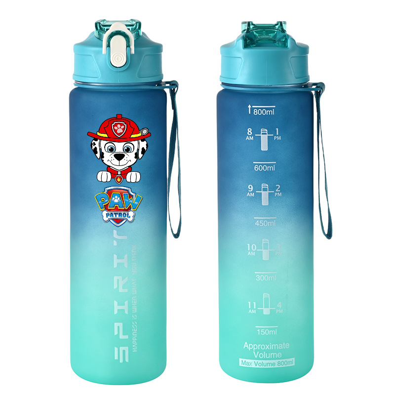 800ml PAW Patrol Sports Water  - Kids Outdoor Kitchen Accessories recension och pris
