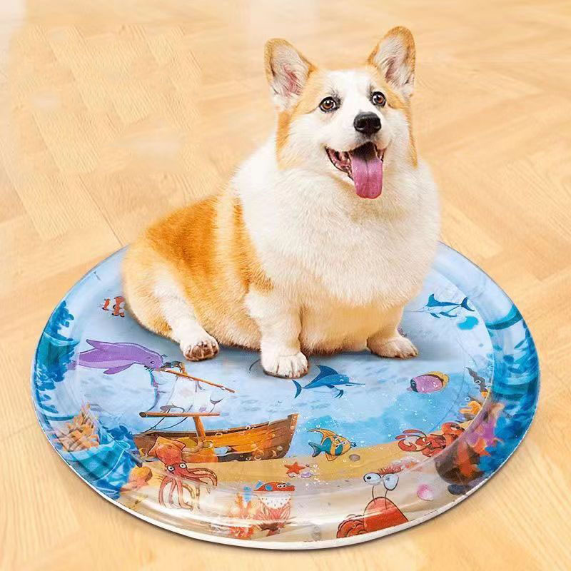 Water Sensory Play Mat Thicken - Slip Slide Water Mat recension och pris