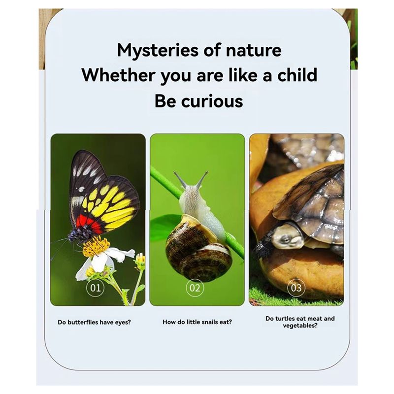 A67P-New Bug Viewer Outdoor In - Kids Outdoor Explorer Kit recension och pris